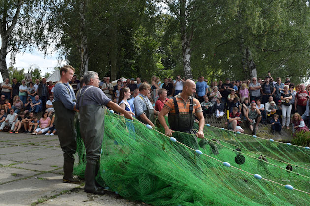 Die beiden großen Fischzüge am Samstag und Sonntag um 13 Uhr an der Havelpromenade sind fester bestandteil beim Fischerfest Ketzin/Havel.