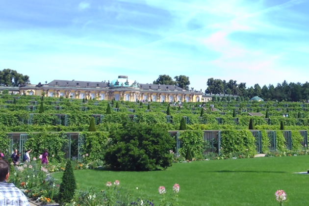 Das Schloss Sanssouci in Potsdam