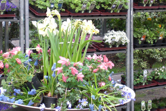 24. und 25.03.2018: Großer bunter Frühlings- und Ostermarkt in Bergedorf mit Frühlingsblühern, Osterlämmern, Sonntags-Shopping, vielen Attraktionen zum Thema Sport und Gesundheit!