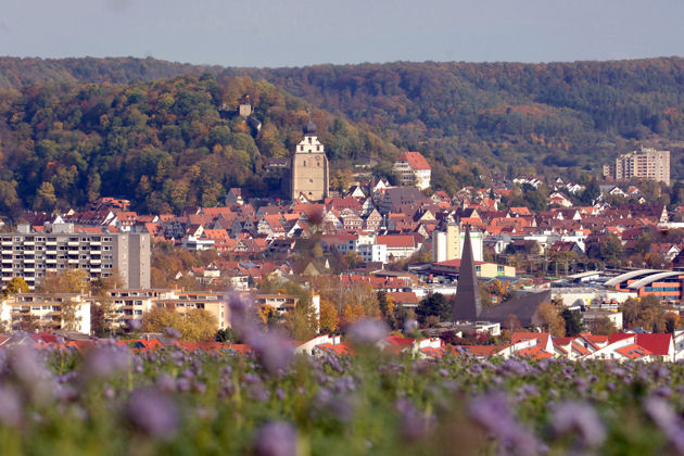 Blick auf Herrenberg mit Stiftskirche und Schlossruine von Westen (von der Anhöhe unterhalb des Spitalwaldes)
